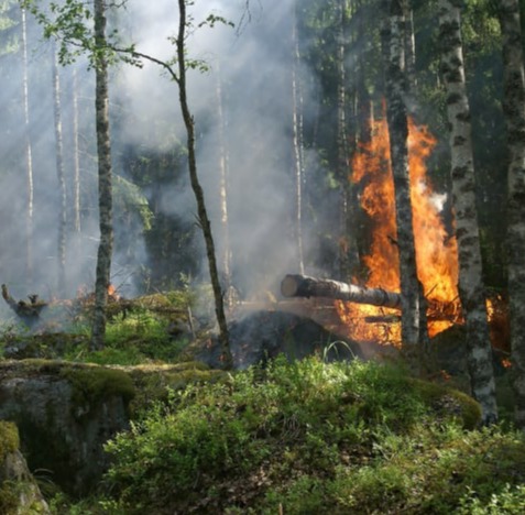 Marshall County Fire and Rescue